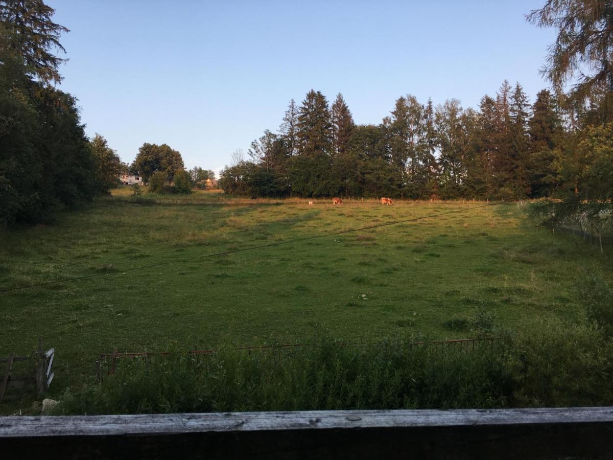 Ukazika Hotel Orawka Buitenkant foto